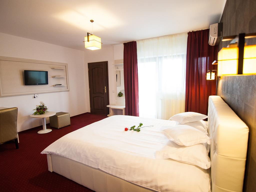 Pensiunea Apulum Alba Iulia Room photo